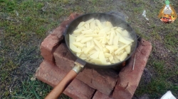 Свято картоплі в Мотижині. Презентація елітних сортів