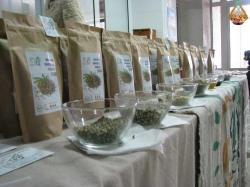 Виставка-продаж органічних виробів з коноплі та льону проходить в головному корпусі НУБіП