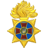     䳿